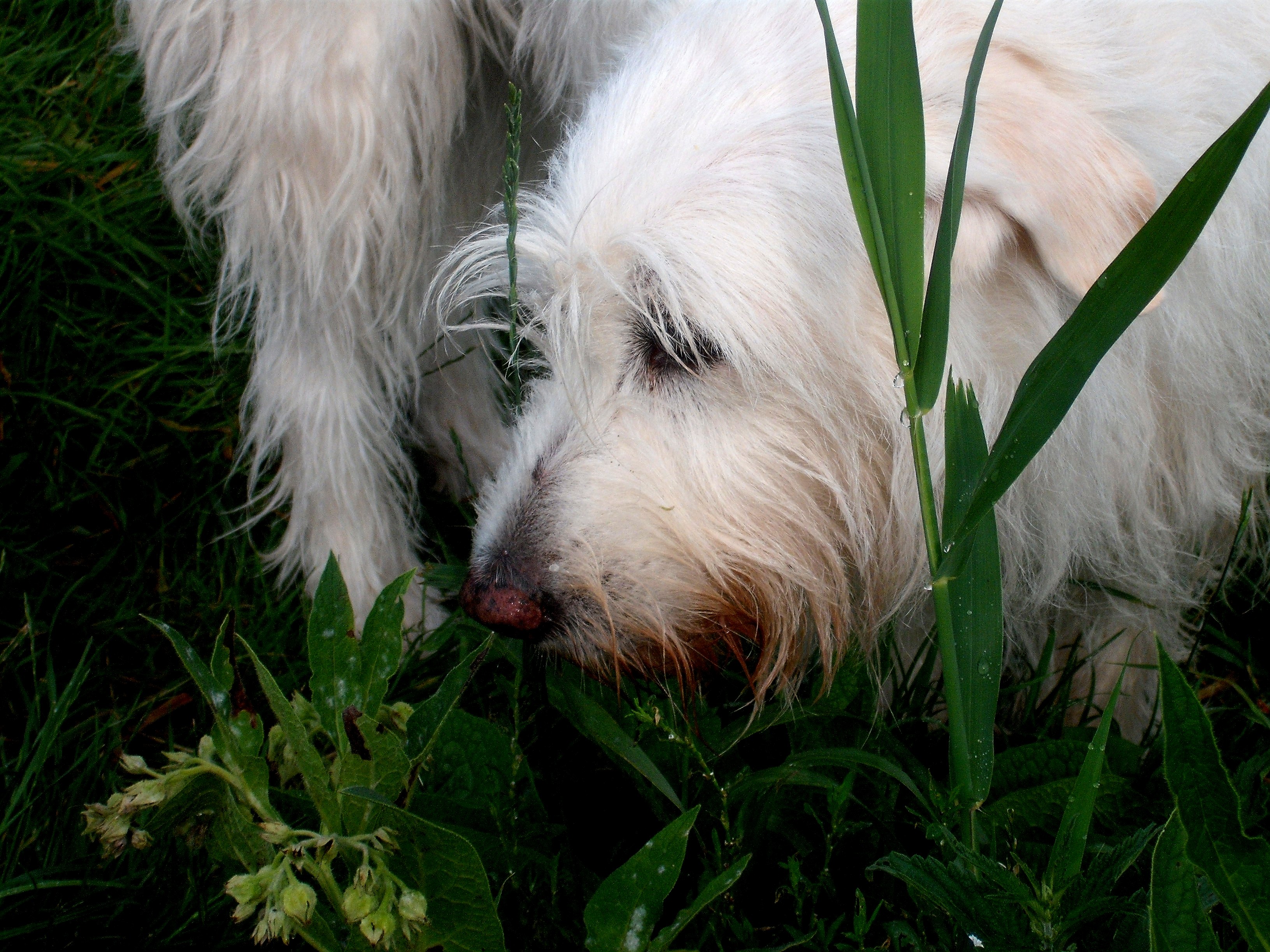 2009.05 luna