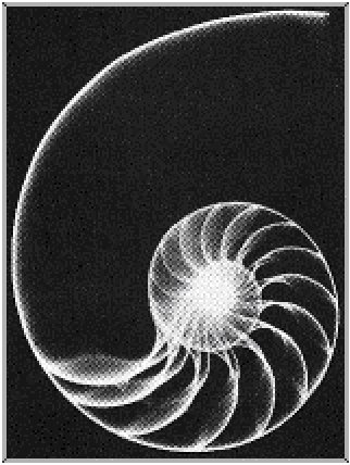 rotary
